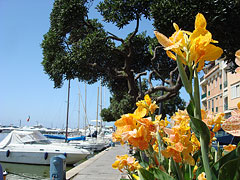 Hafen Marina di Grosseto